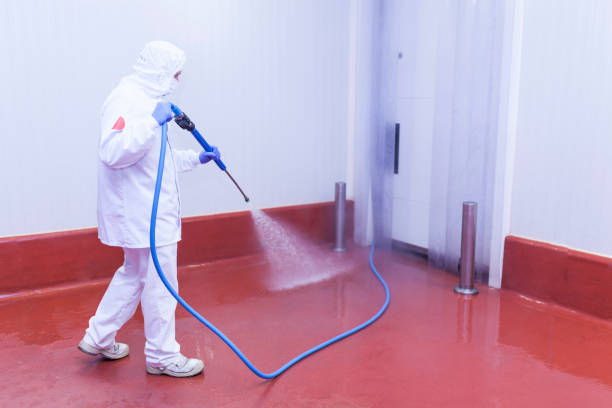 Best Roof Washing  in Fairview, NJ
